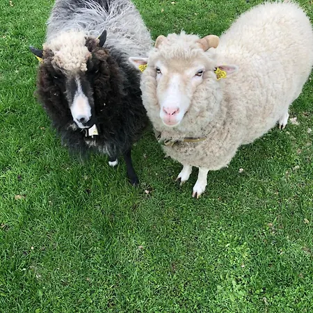 Vedru Puhketalu * Vaike-Rakke