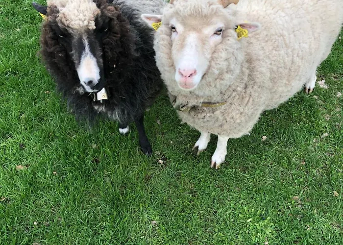 Vedru Puhketalu * Vaike-Rakke